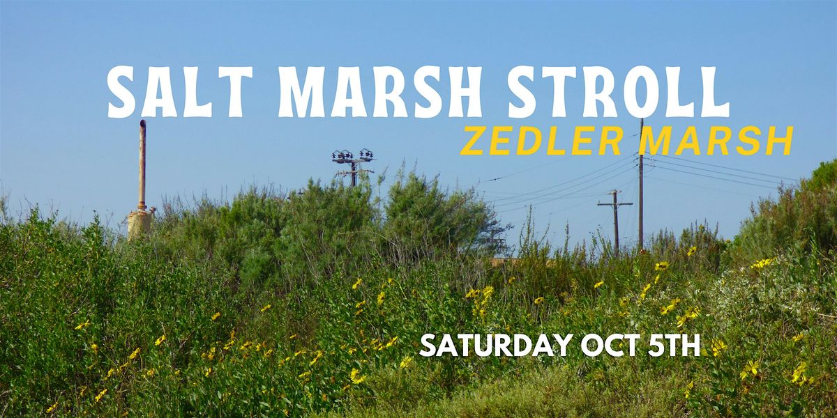 Los Cerritos Wetlands Nature Walk : Salt Marsh Stroll