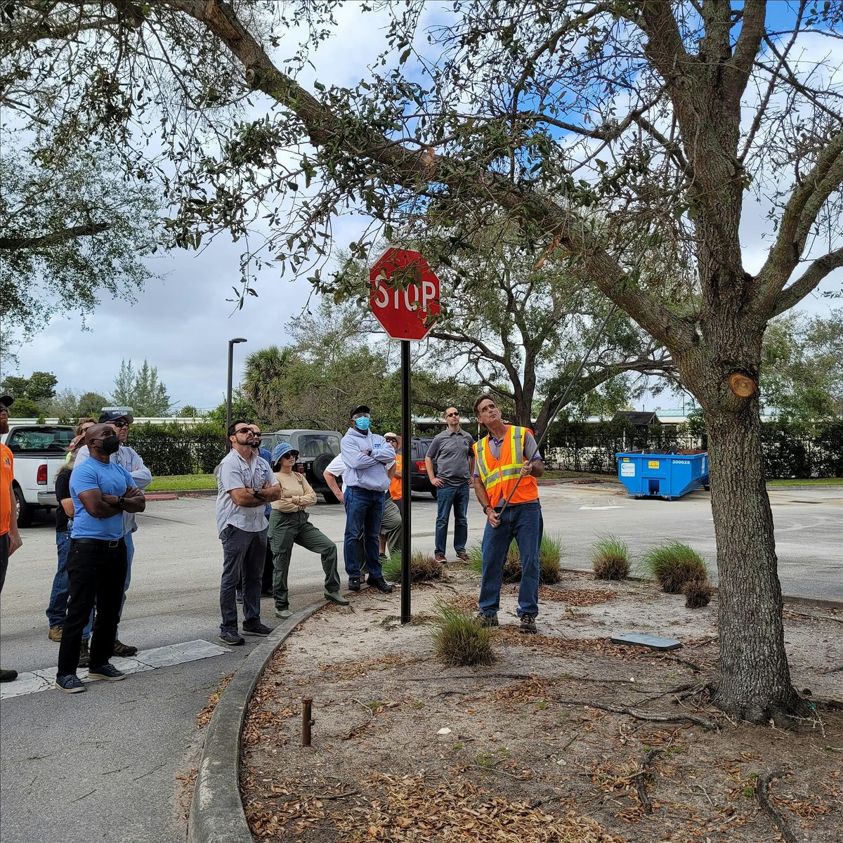 Tree Trimmer Certification - Structural Pruning Class - ENGLISH