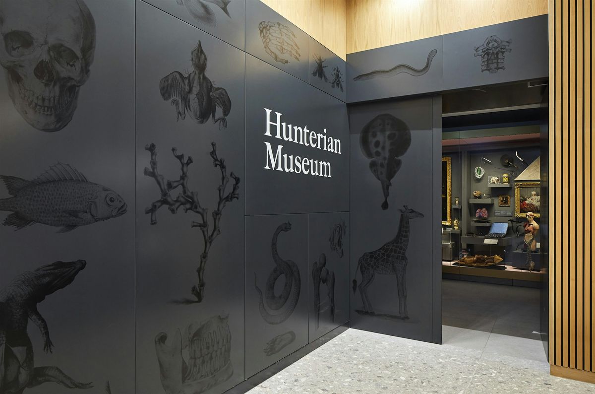 Hunterian Museum  - Free timed entry October 2024. 10+ contact Museum