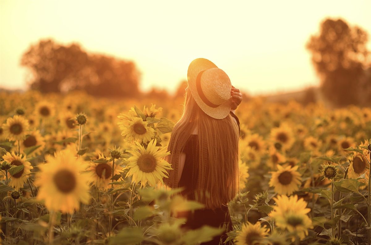 Viaje a Burgos y sus Campos de Girasoles \u2013 14 de Agosto