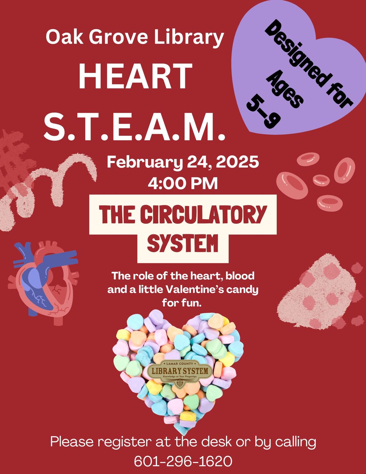 Heart S.T.E.A.M: The Circulatory System (Valentines Edition) 