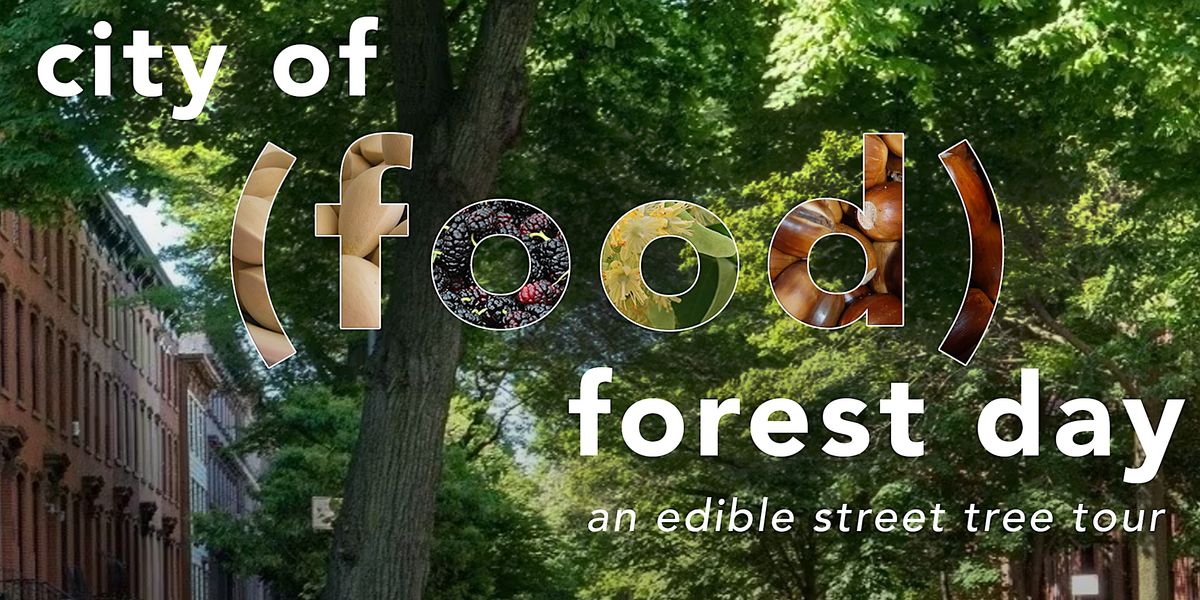 City of (Food) Forest Day: an edible street tree tour