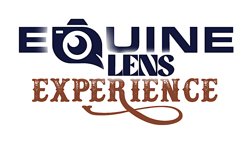 The Equine Lens Experience