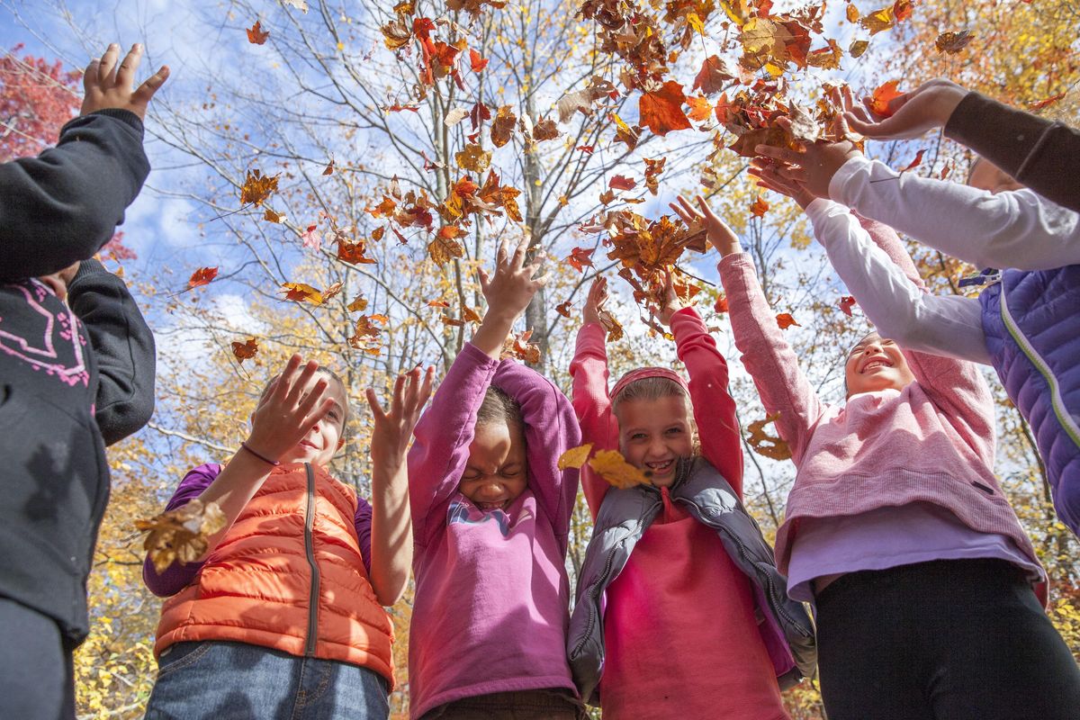Camp Greene Wood Leave Some Love Girl Scout Fall Drive Thru 2021, Camp