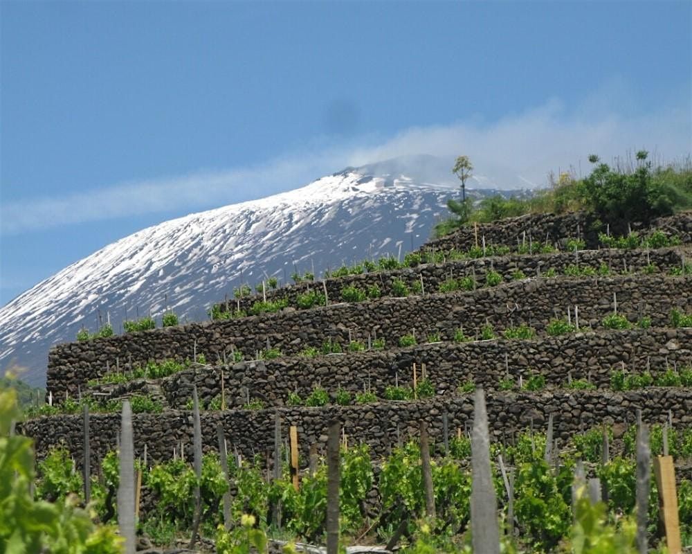 Wine Lunch -Passopisciaro: Mount Etna\u2019s Cult Winery