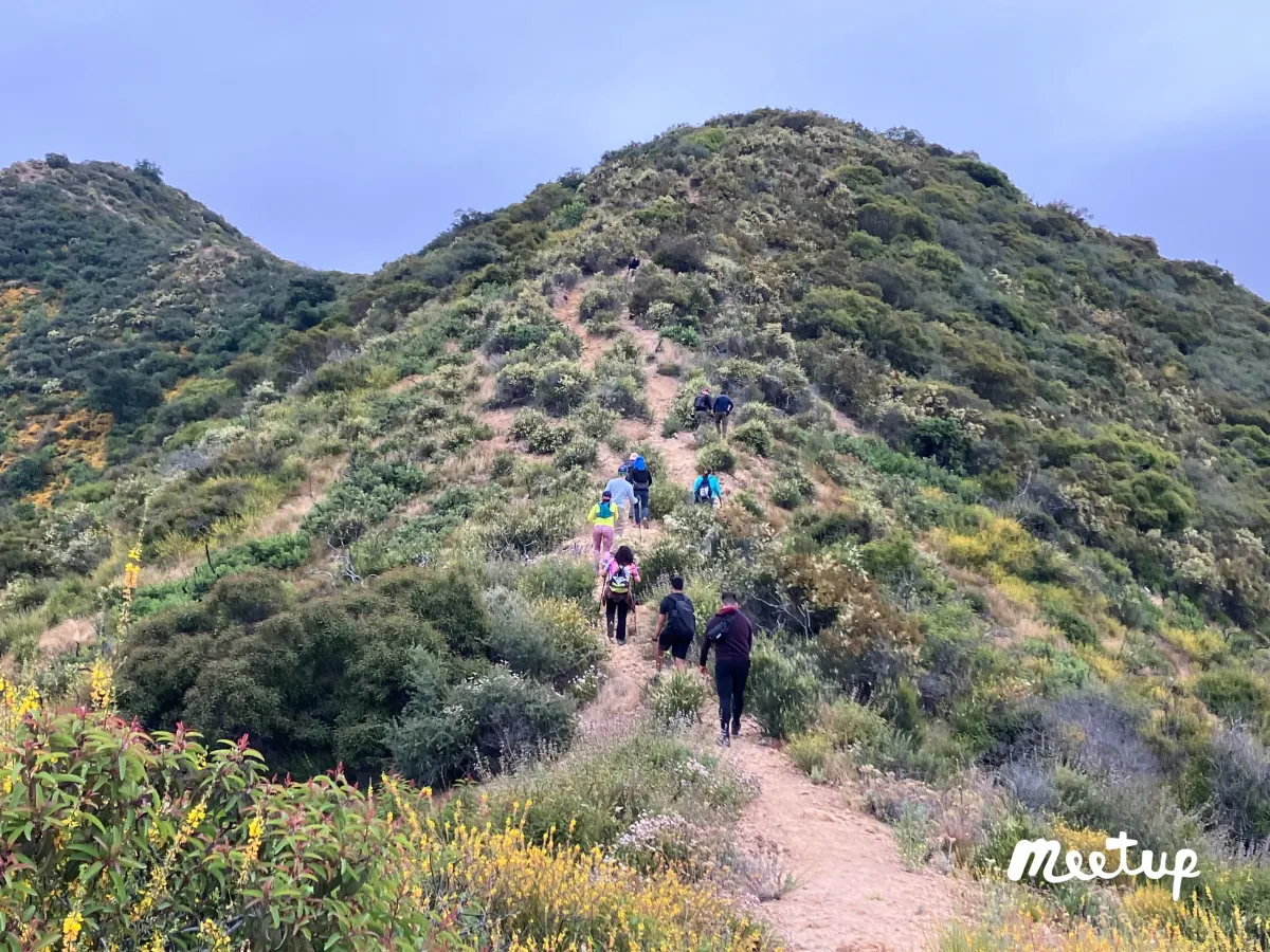 Sunday Night Hike: Cahuenga Peak & More