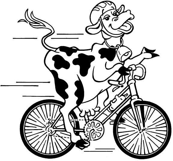 2024 June Dairy Days Classique Bike Tour