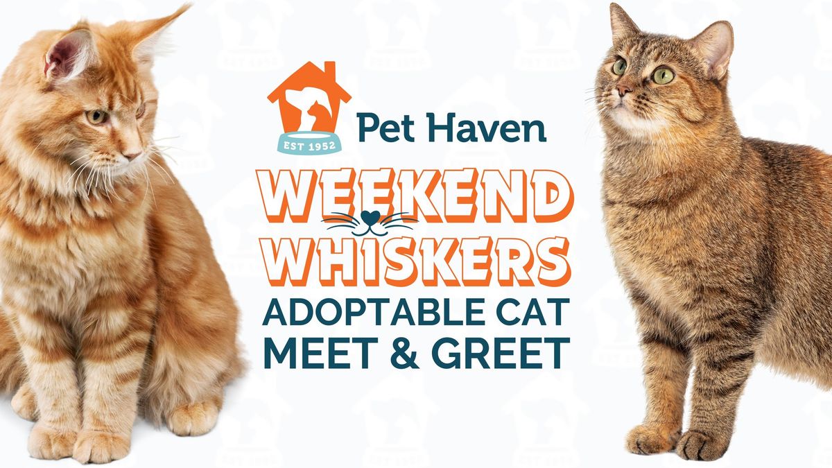 Weekend Whiskers! Adoptable Cat Meet & Greet!