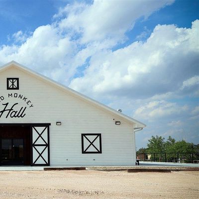 Sad Monkey Hall