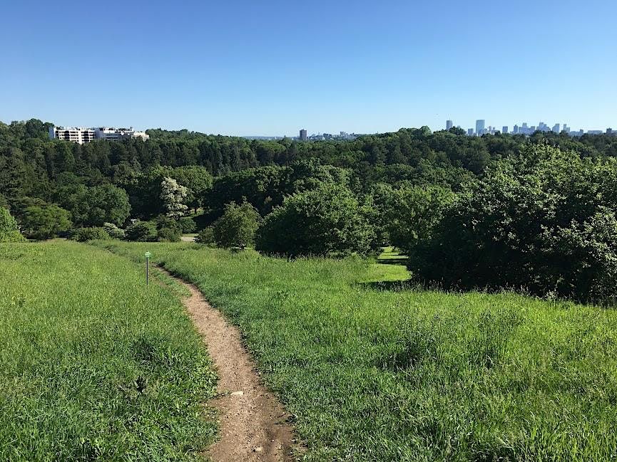 Hike Bostons Walking City Trail Section 2, Adams Park, Boston, 8 July 2023
