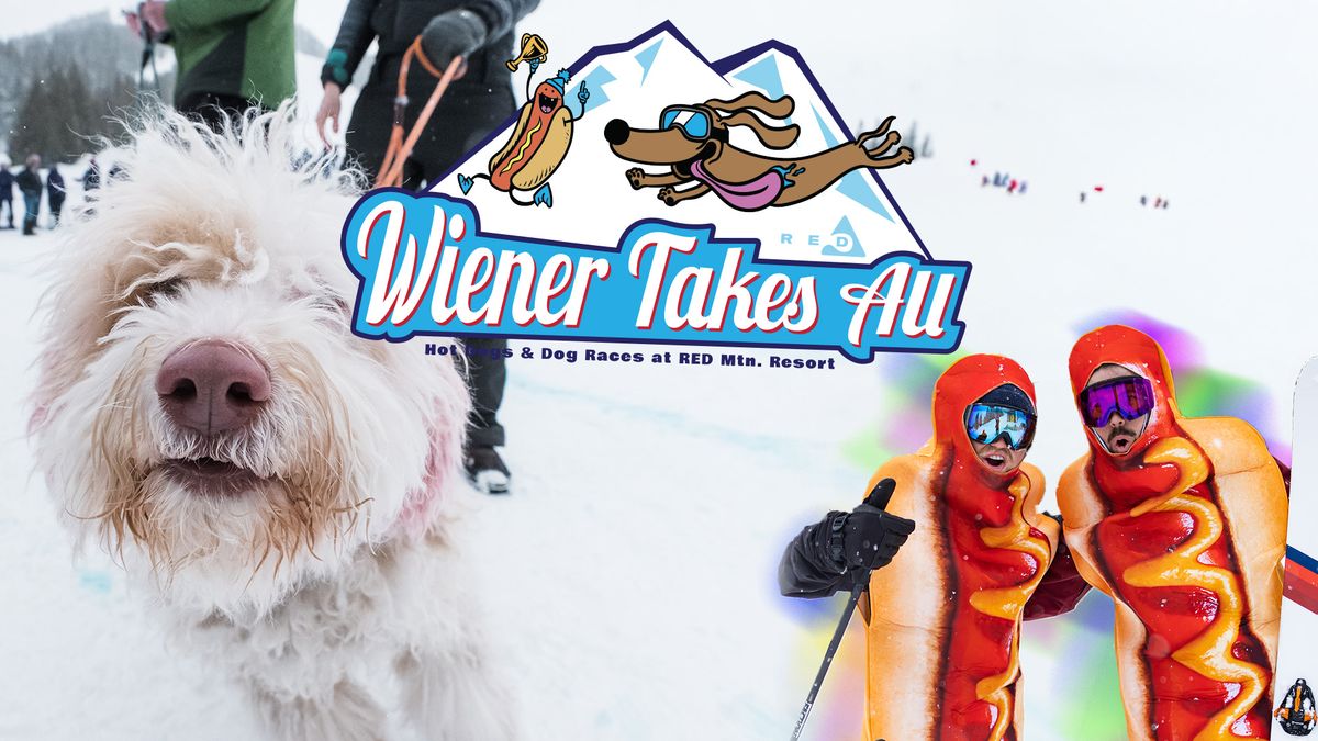  Fourth Annual Wiener Takes All Dog Race