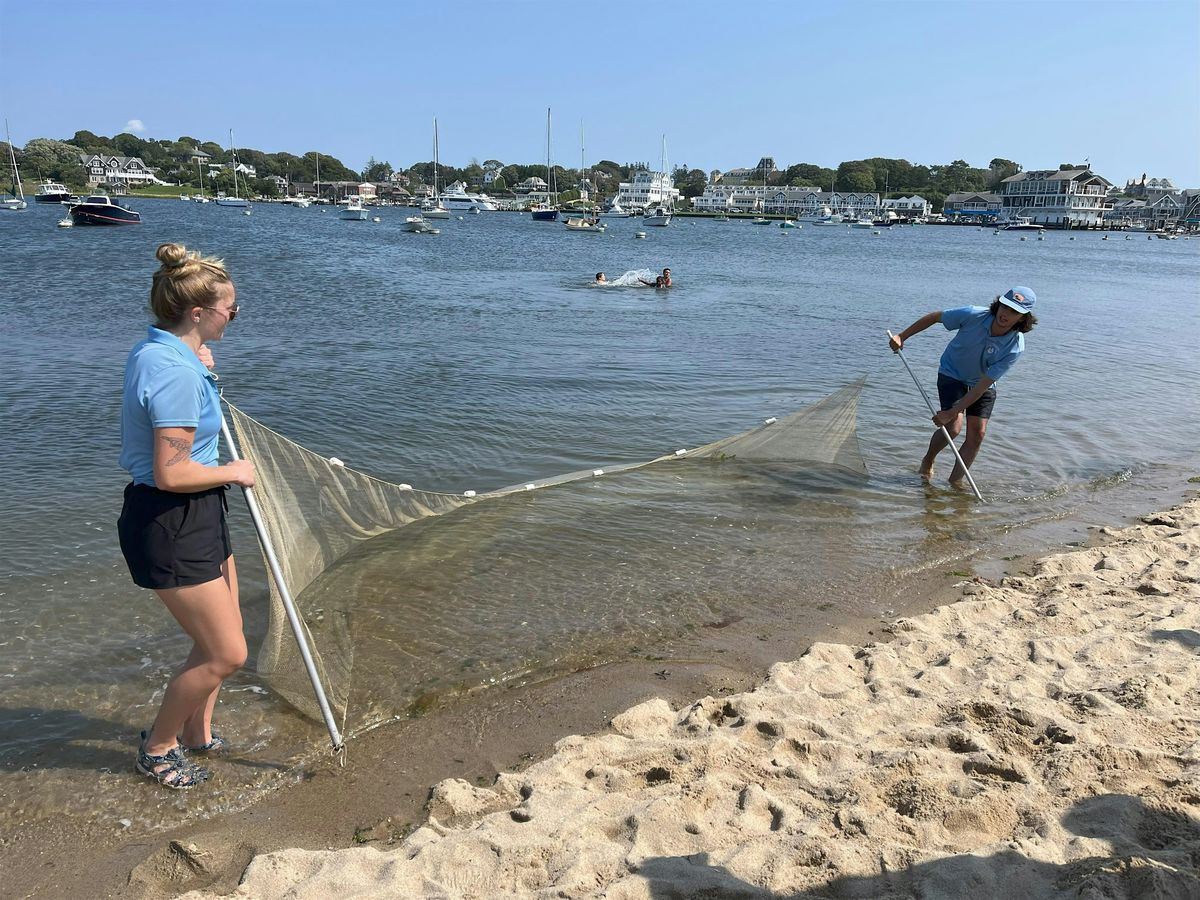 Family Seine Net Program