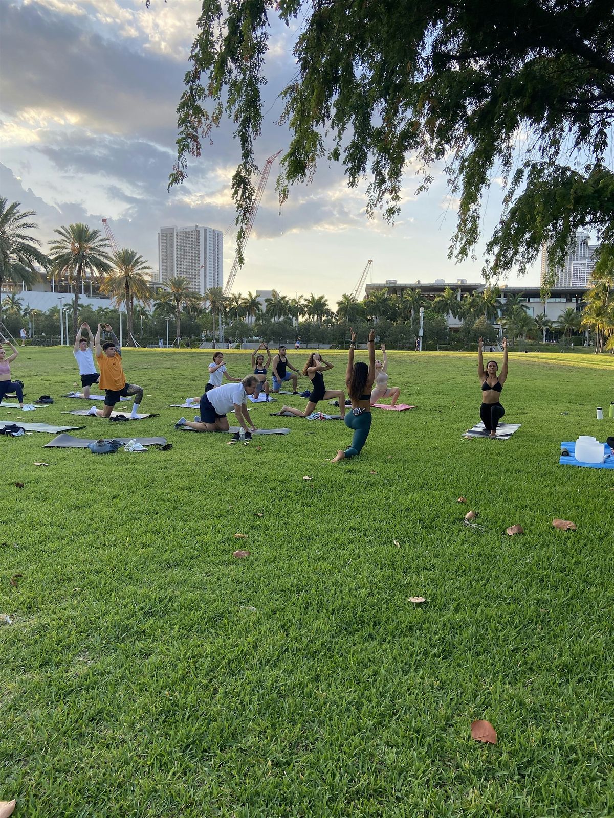 Yoga In the Park   \u0ad0 \u200d \u2727\u02d6\u00b0