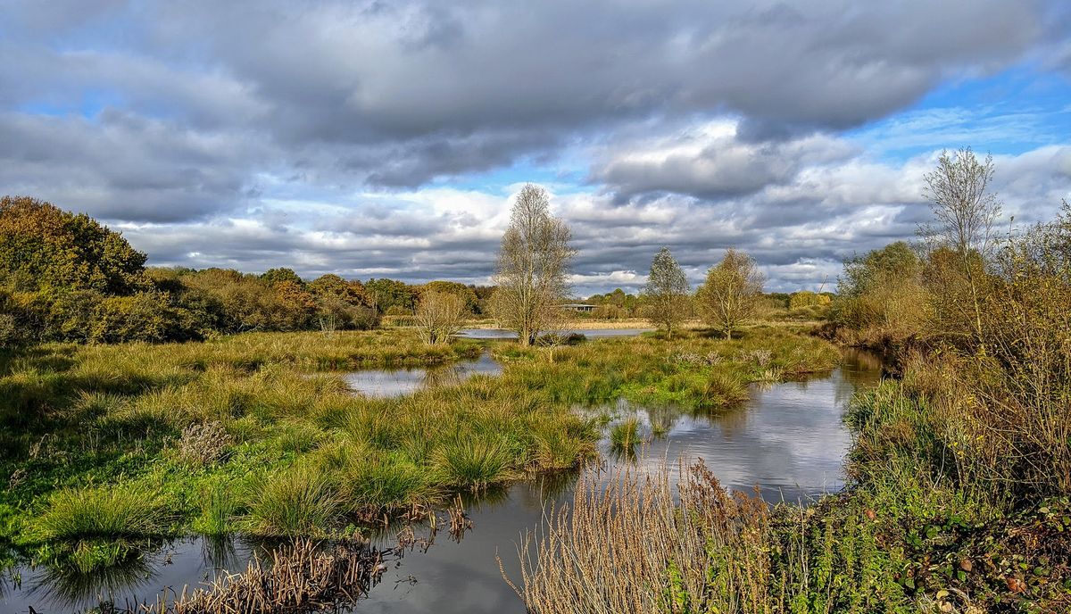 Monthly Walk - Hornchurch Country Park