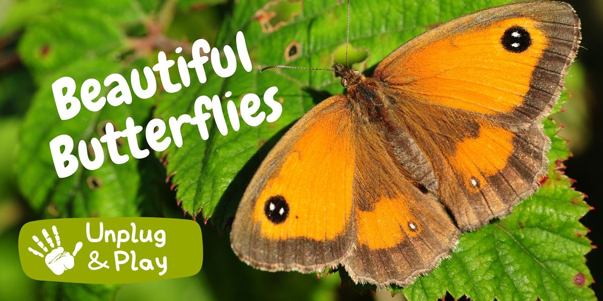 Beautiful Butterflies - Unplug and Play