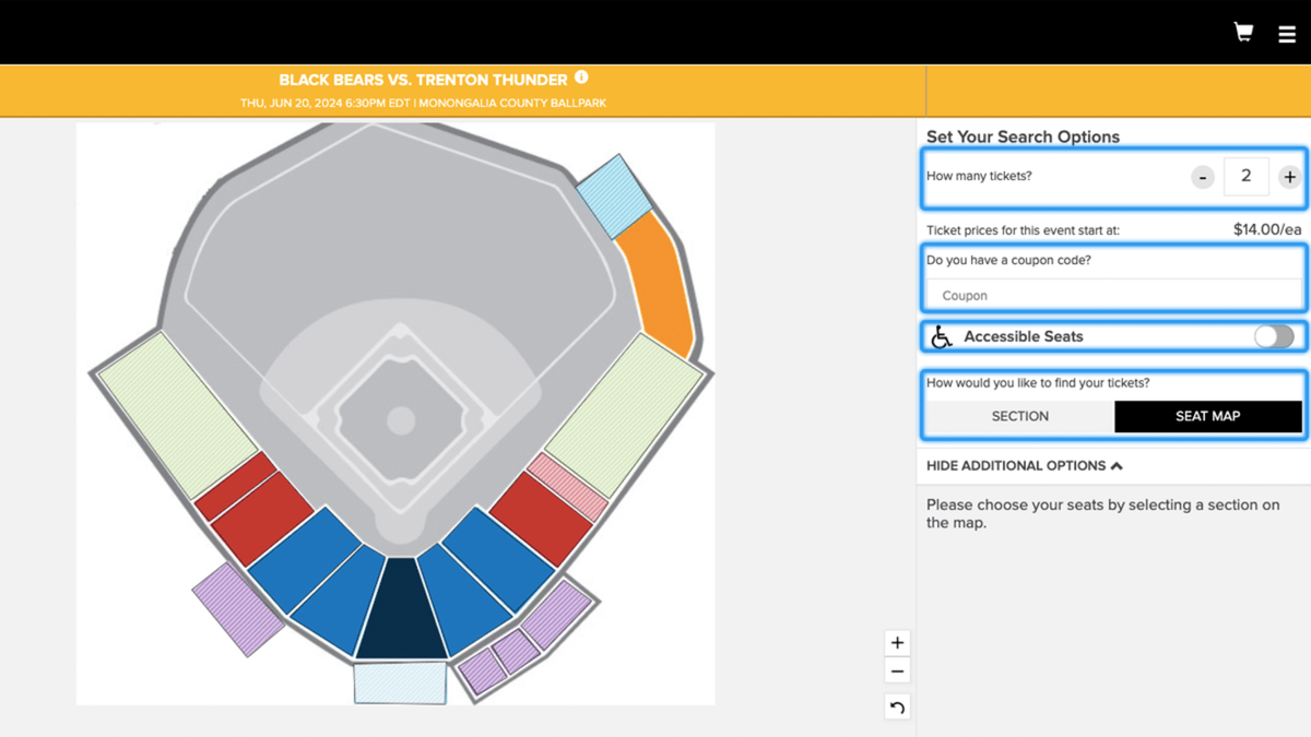 West Virginia Black Bears at Trenton Thunder