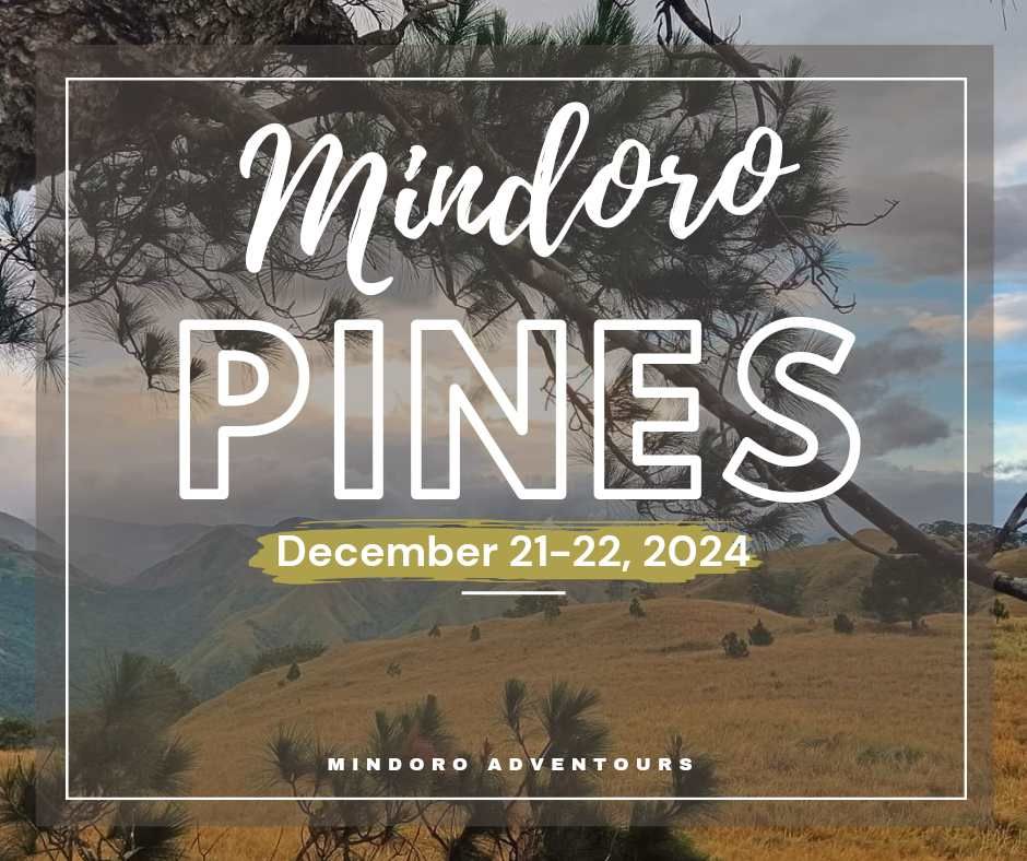 MINDORO PINES & PANDURUCAN FALLS