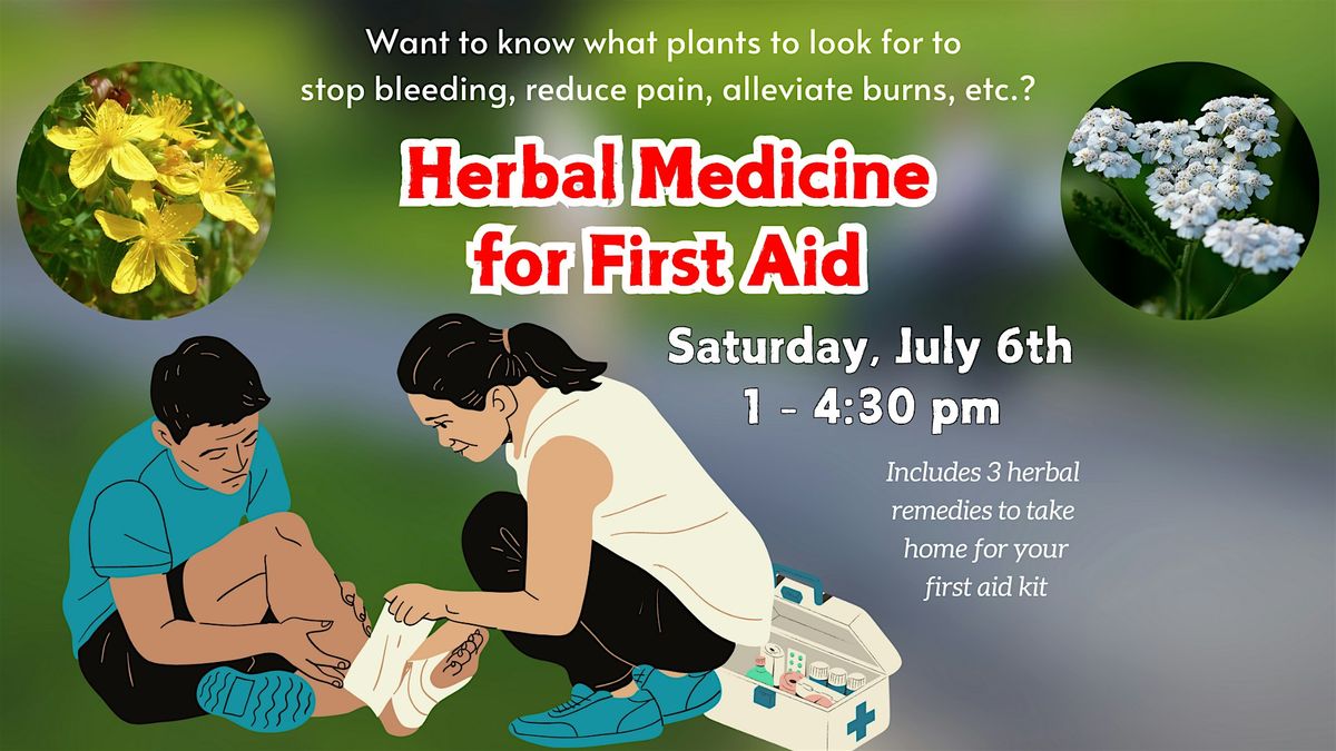 Herbal Medicine for First Aid