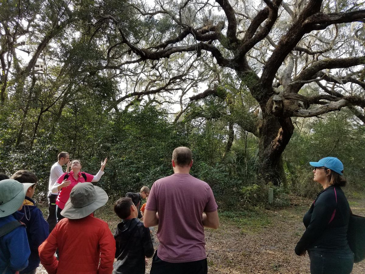 Connect with Trees at Isle of Pine Preserve