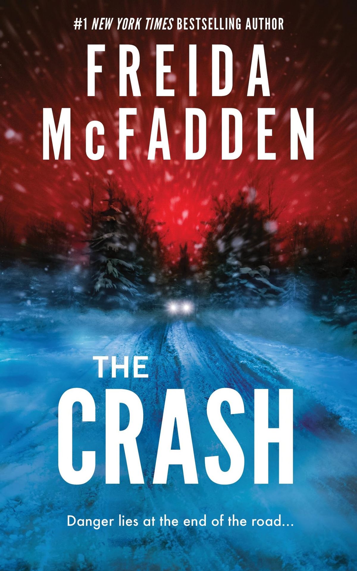 March Meet-Up: The Crash by Freida McFadden!