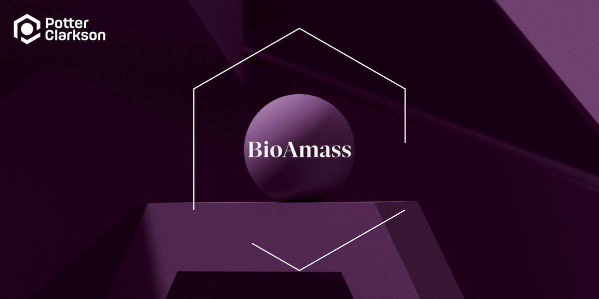 BioAmass 6.0