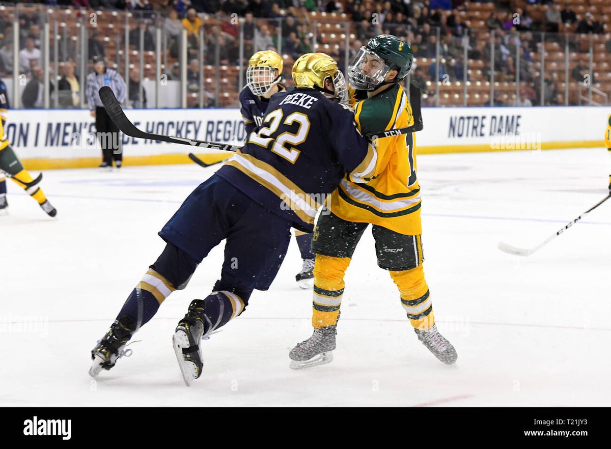 Notre Dame Fighting Irish at Clarkson Golden Knights Mens Hockey