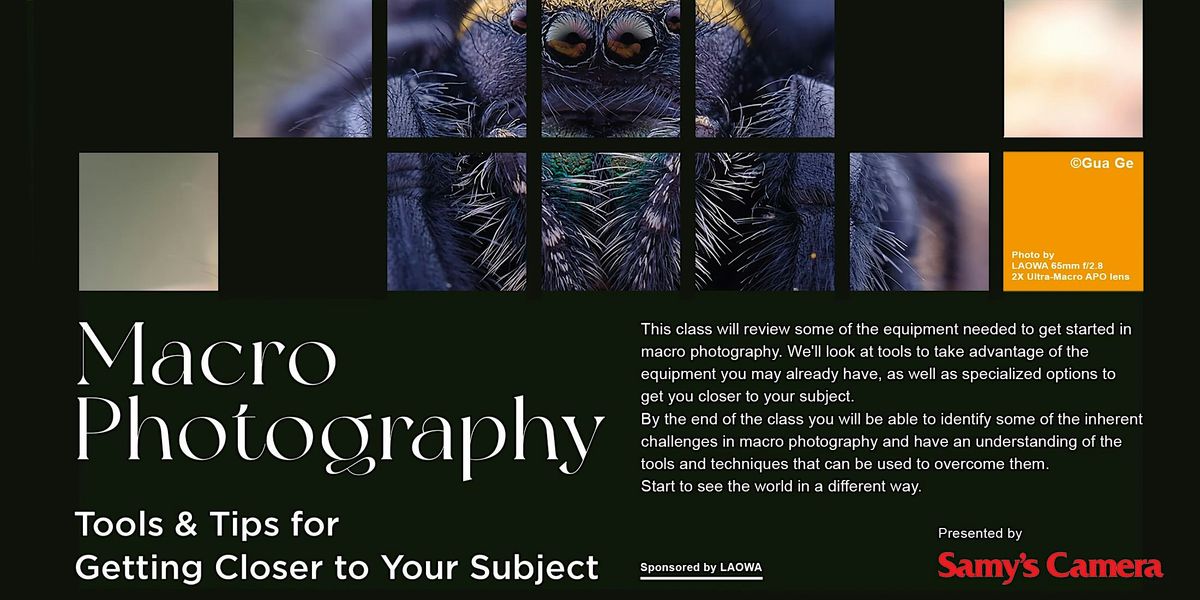 Macro Photography Tools and Tips - Sponsored by LAOWA - Los Angeles