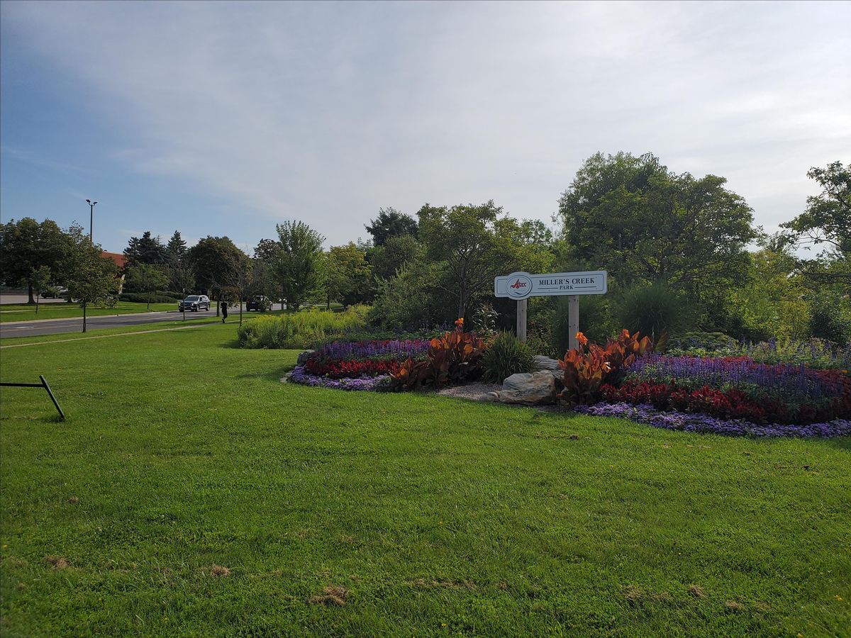 The Daily Neighbourhood Walk\/Run \u2013 Ajax Suburbs at Miller's Creek (Route D)