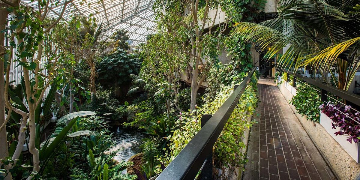Move and Sketch at Barbican Centre Conservatory