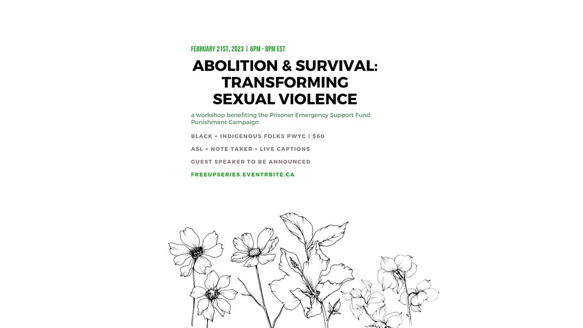 Abolition And Survival Transforming Sexual Violence Online 21 February 2023 