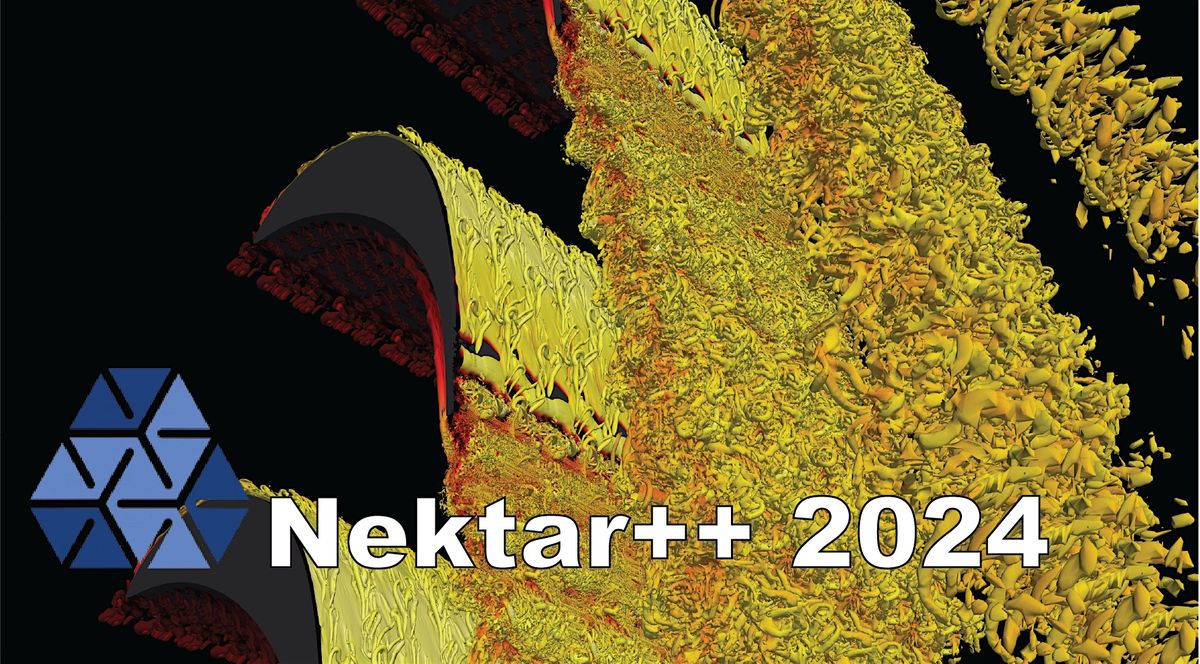 Nektar++ workshop 2024