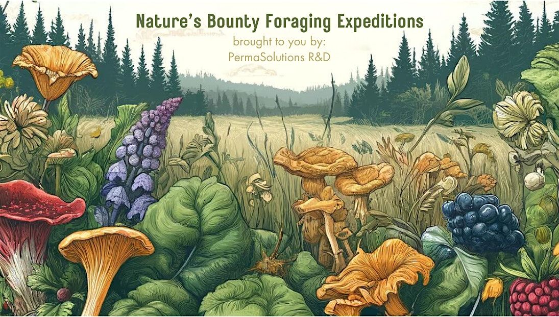 Nature's Bounty Foraging Expeditions - Nashwaak Trail - Weekday