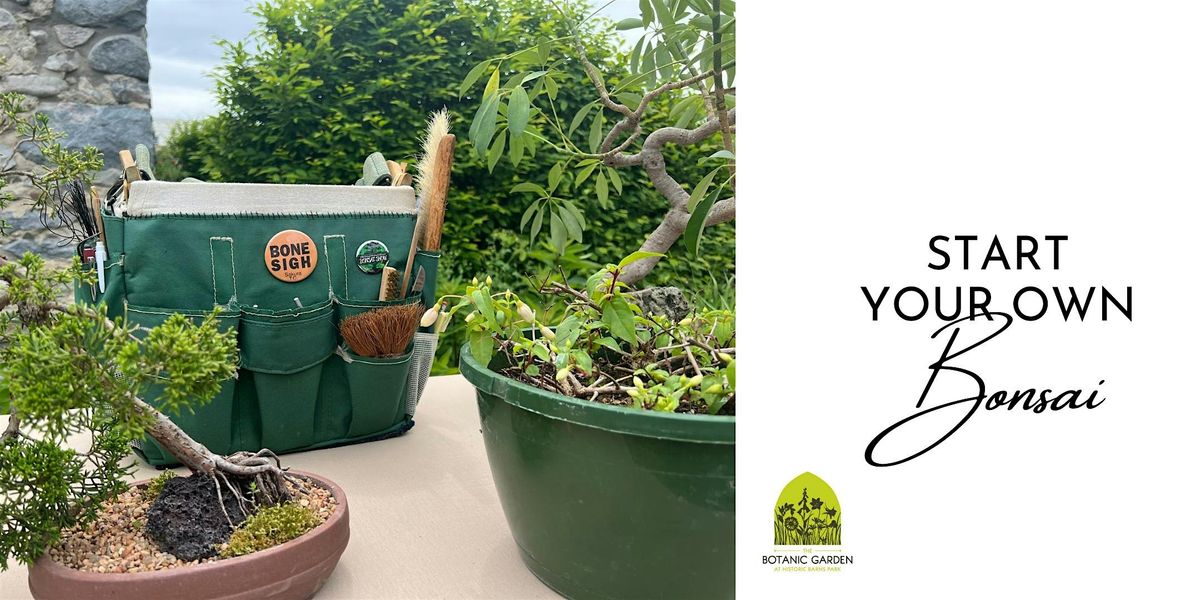 Copy of Start Your Own Bonsai (Outdoor)