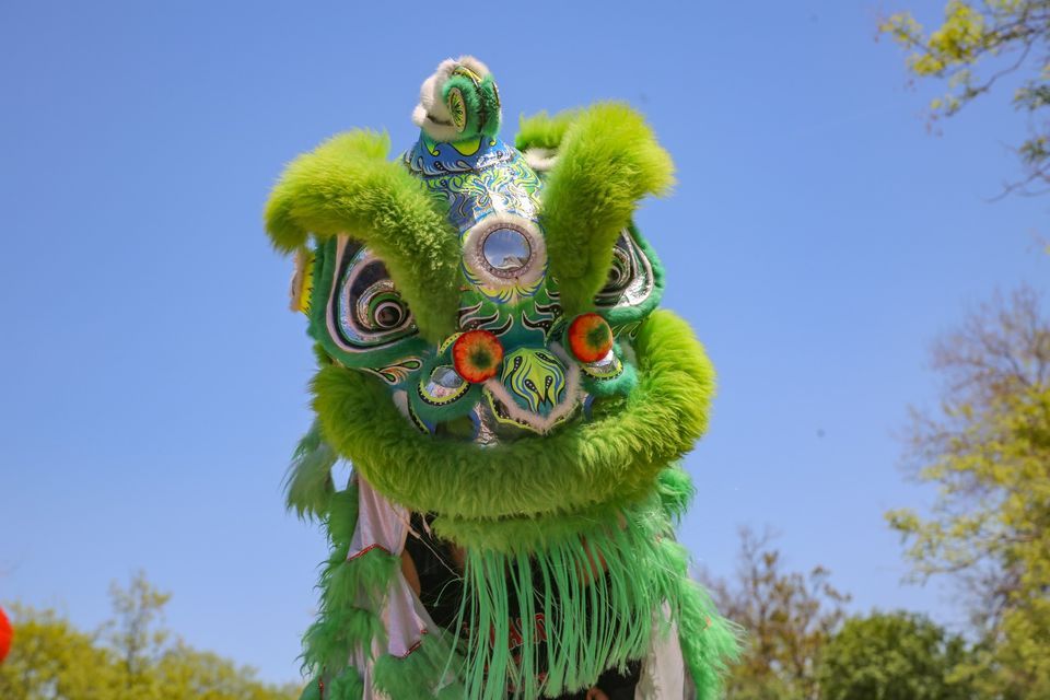 Second Annual Asian American and Pacific Islander+ Festival at Denver Zoo