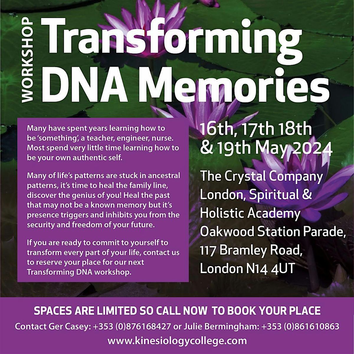 Transforming DNA Memories