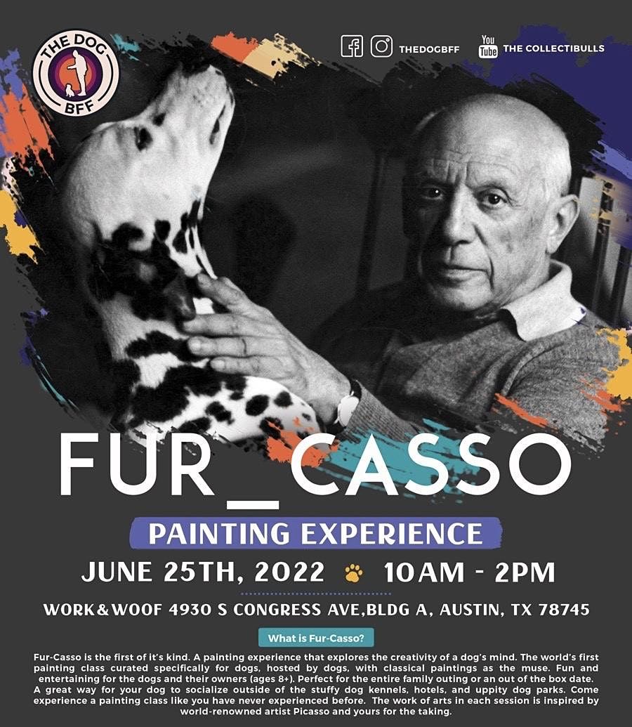 Fur_casso Painting Experience