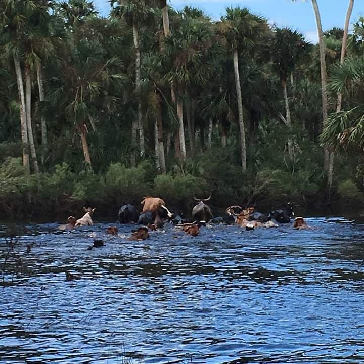 68th Annual Flagler County Cracker Day