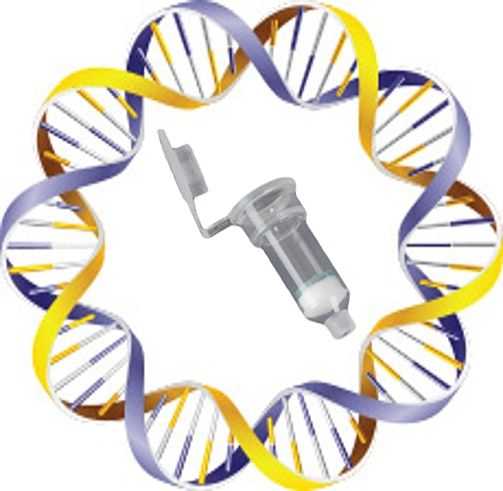 Lab Skills Night: Plasmid DNA Isolation