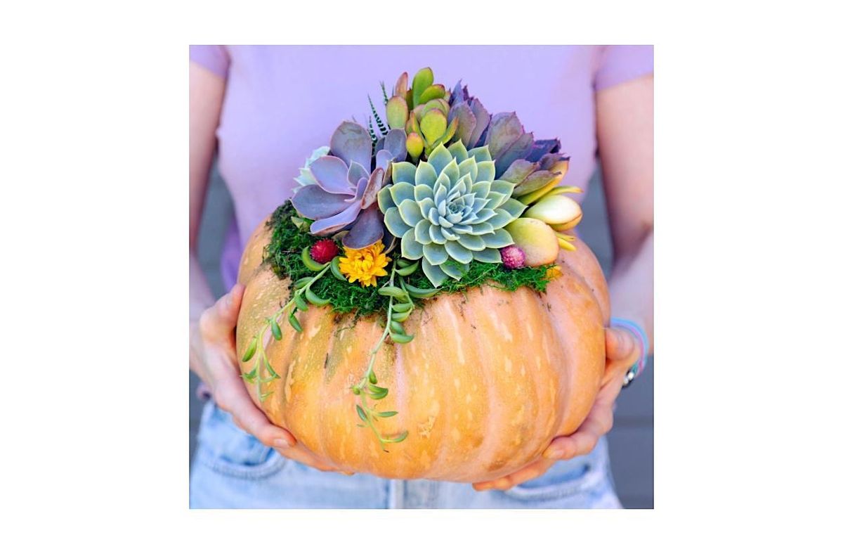 Succulent Stuffed Pumpkin Workshop