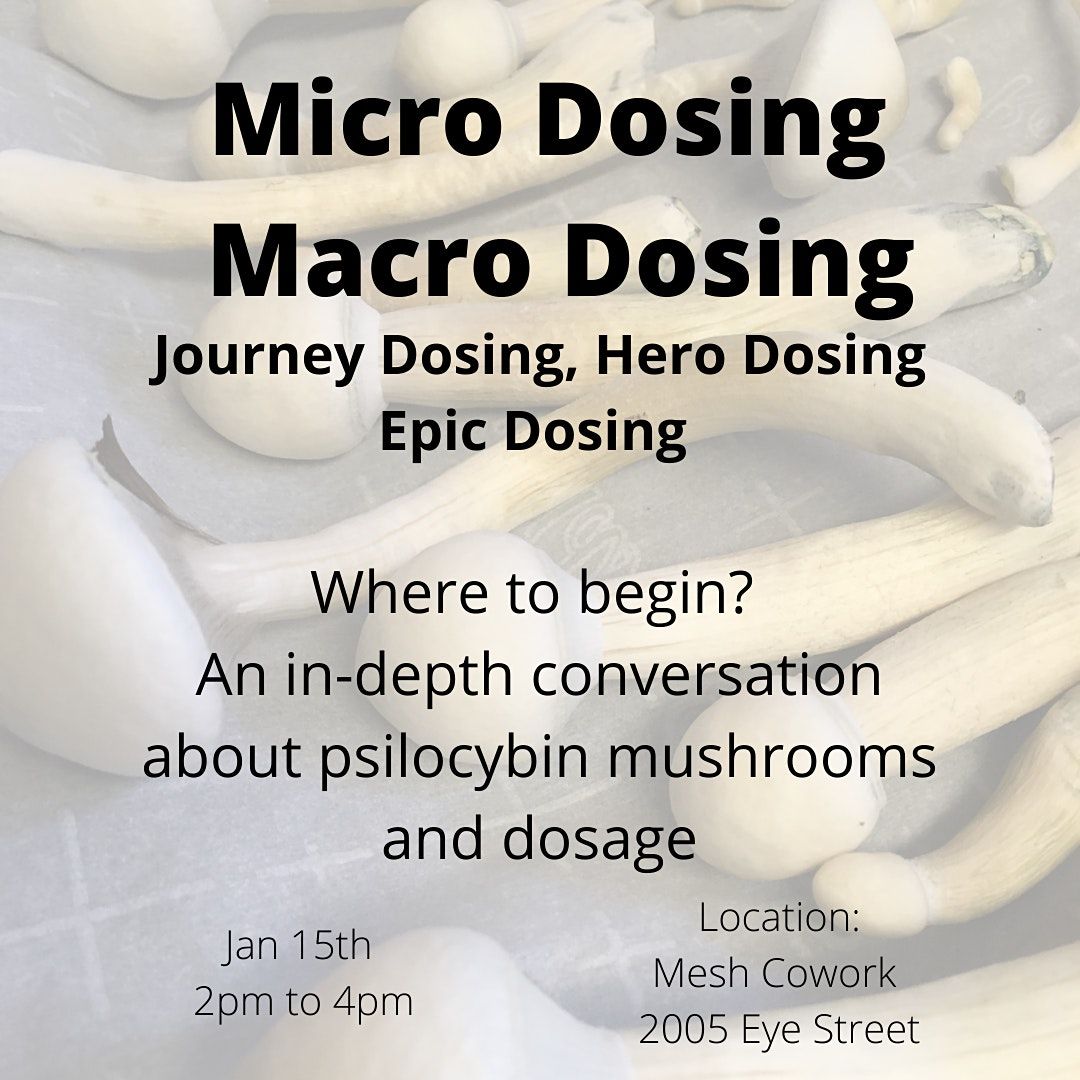 Micro Dosing  vs Macro Dosing:  An in-depth conversation about psilocybin