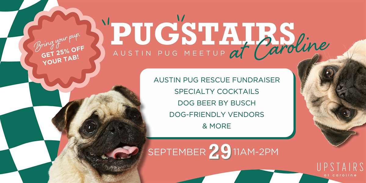 Pugstairs at Caroline: Austin Pug Meetup