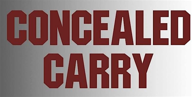 CONCEALED CARRY FUNDAMENTALS 1