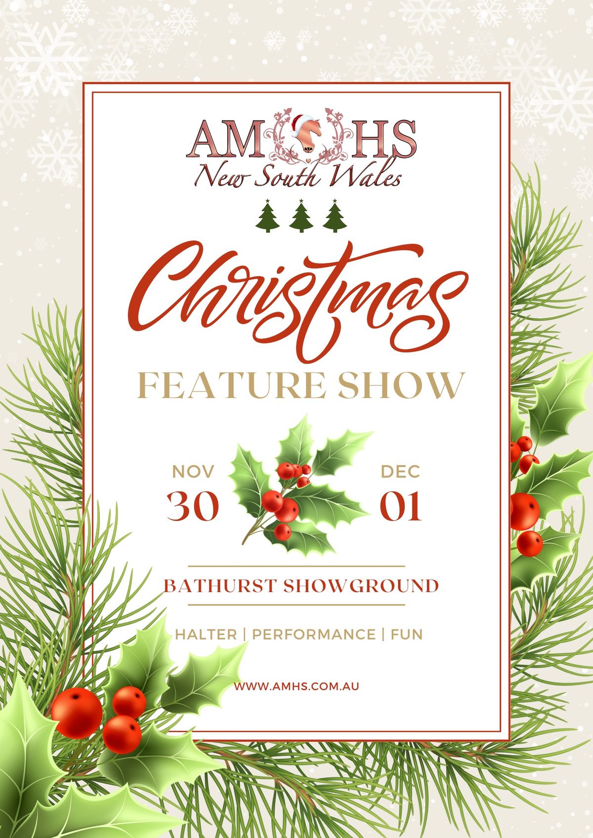 2024 AMHS NSW CHRISTMAS FEATURE SHOW 