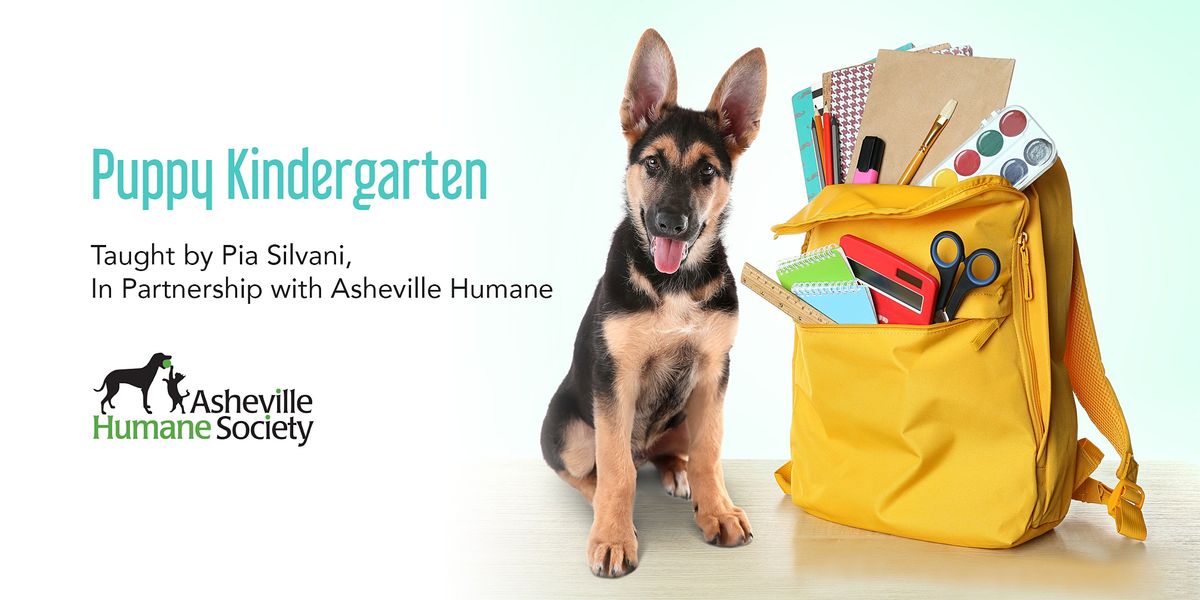 puppy-kindergarten-asheville-humane-society-training-center-5-march-2022