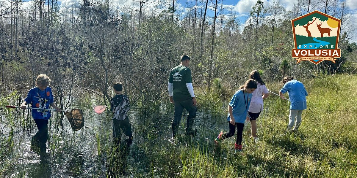 Aquatic Animal Dip Net Adventure