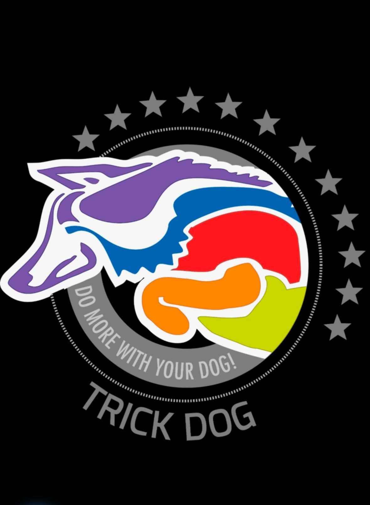 Intermediate Trick Dog Classes