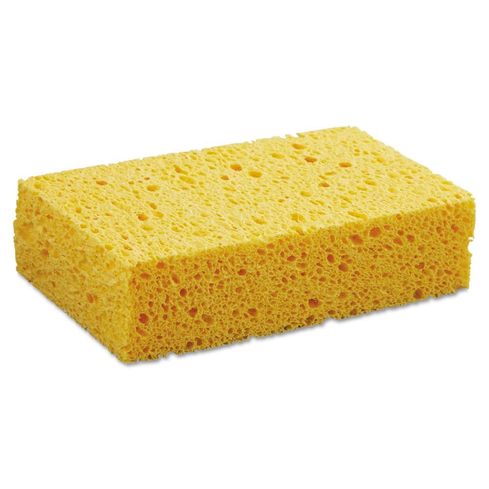 Sponge