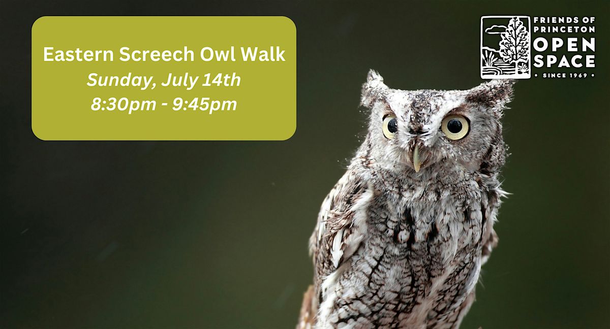 Eastern Screech Owl Walk with South Jersey Wildlife Tours \/\/ 7.14.24