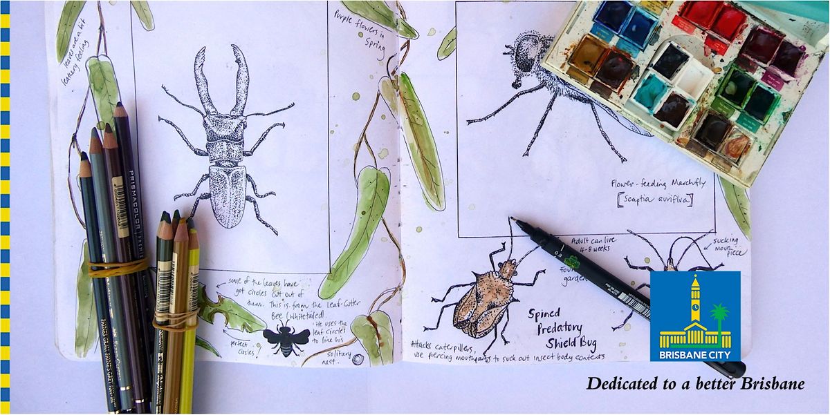 Nature Journalling (adults and ages 10+)