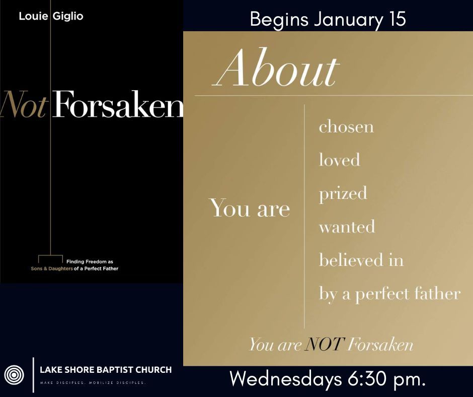 Not Forsaken Book Study